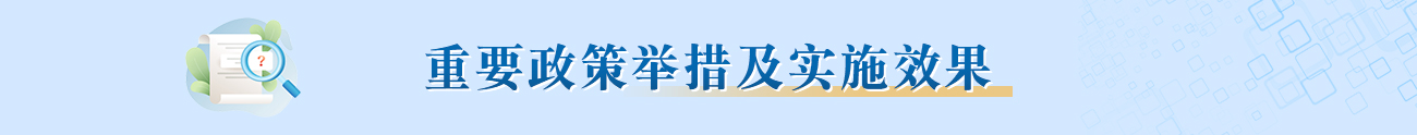 重要政策舉措及實(shí)施效果